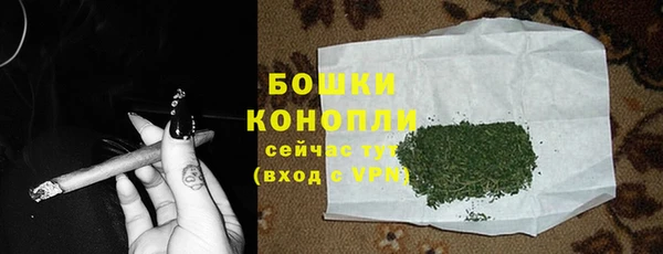 сатива Пересвет