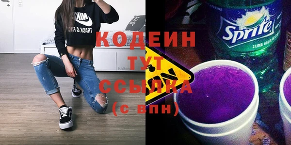 сатива Пересвет