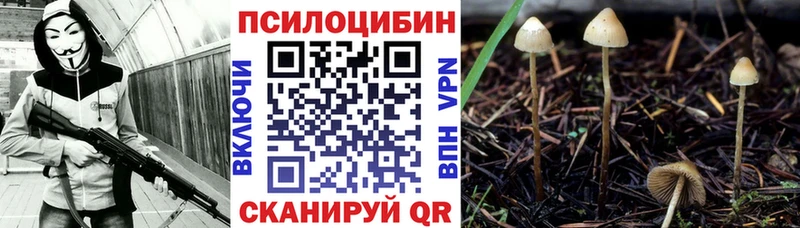 площадка наркотические препараты  Никольск  Галлюциногенные грибы прущие грибы  МЕГА вход 